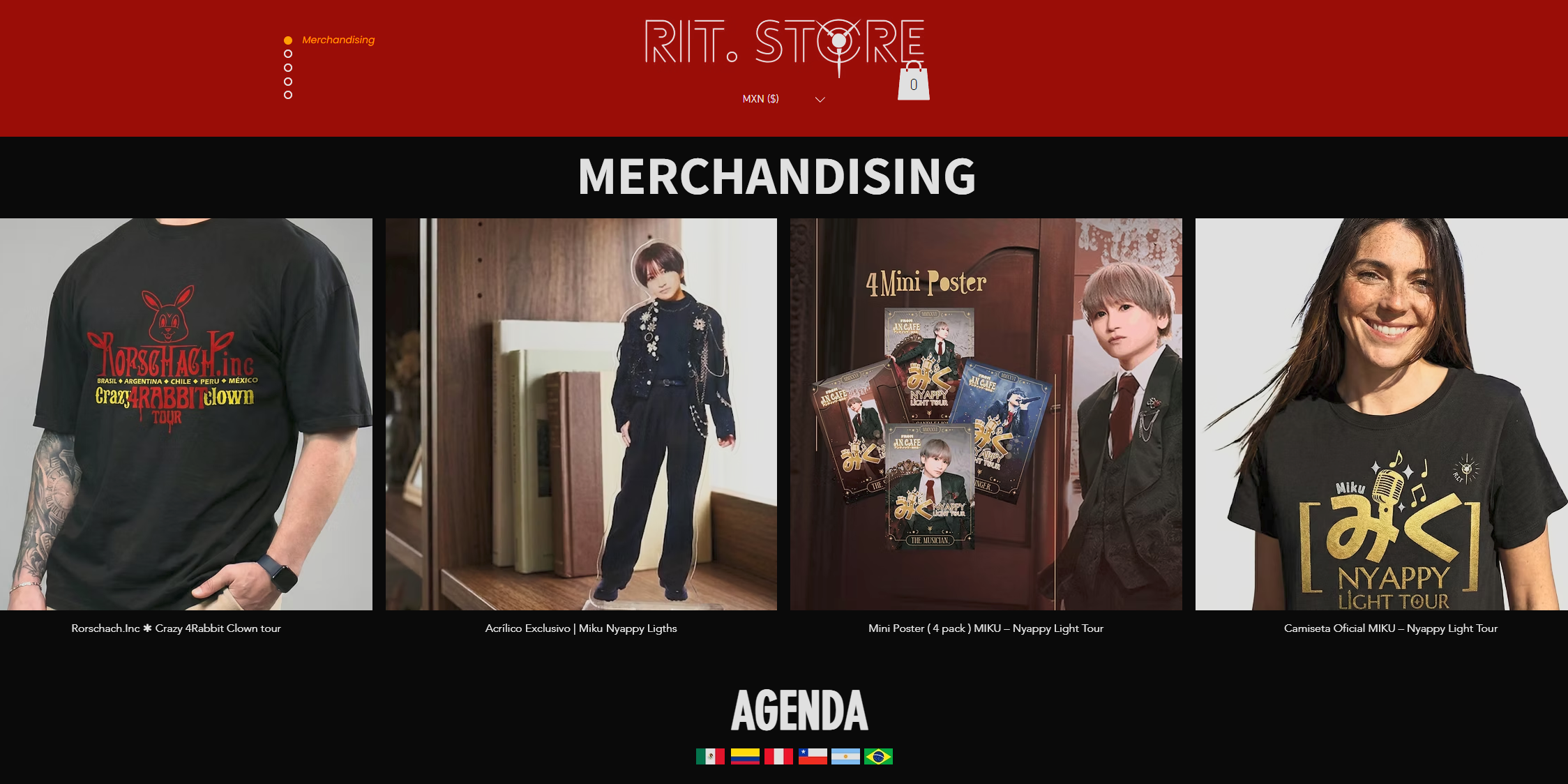 Captura de pantalla 2026-01-21 230844